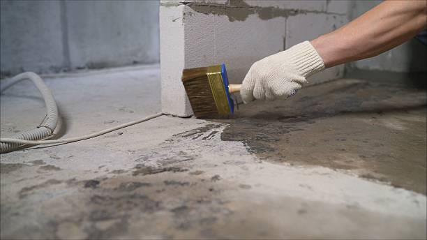 SJ Waterproofing Pros Waterproofing coverage map for Vinemont, AL and surrounding area